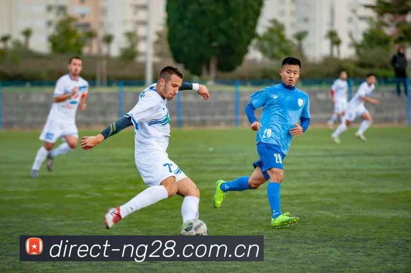 ng28APP 高清赛事图